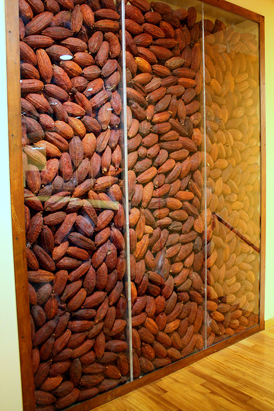 Fave di Cacao lungo il percorso del museo